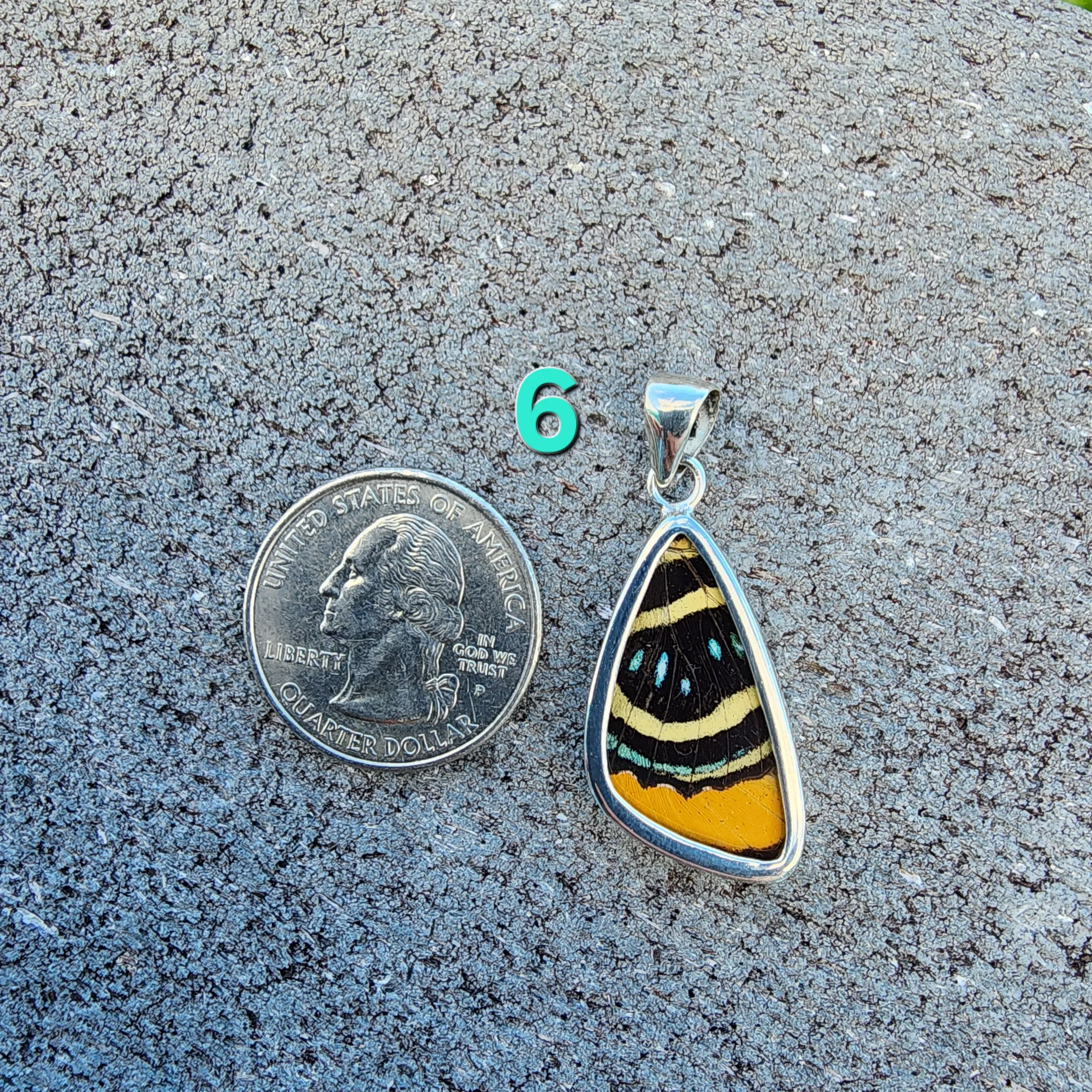 Butterfly Pendants - SM